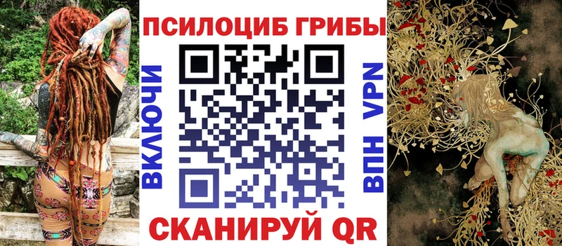 Галлюциногенные грибы прущие грибы  купить закладку  Монино 